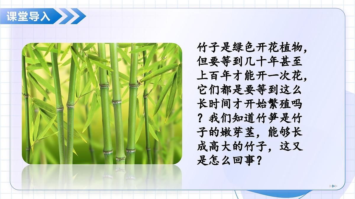北京版生物八年级上册 4.1.4 生物生殖的多种方式 教学课件第3页