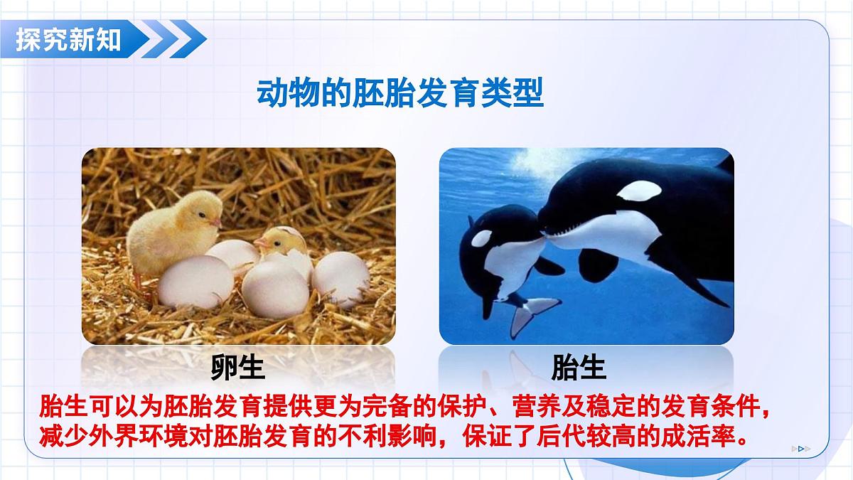 北京版生物八年级上册 4.1.4 生物生殖的多种方式 教学课件第7页