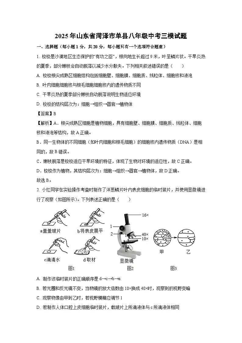 2025年山东省菏泽市单县八年级中考三模生物试卷(解析版)第1页