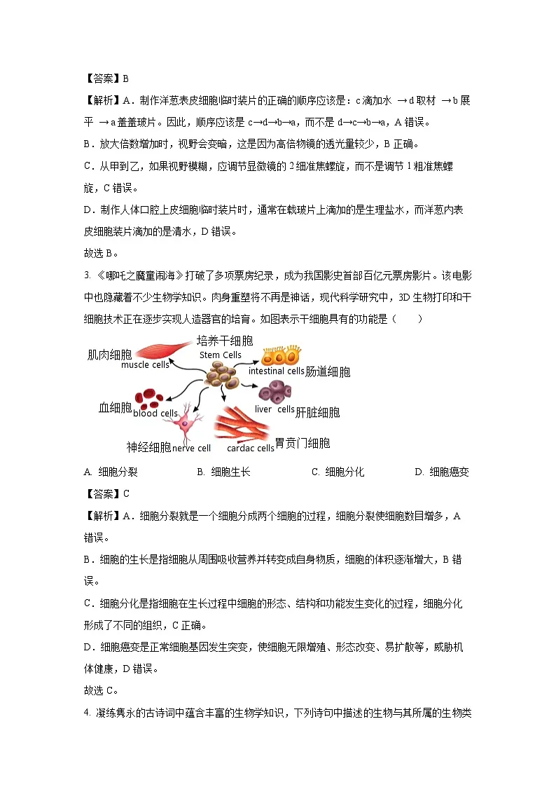 2025年山东省菏泽市单县八年级中考三模生物试卷(解析版)第2页