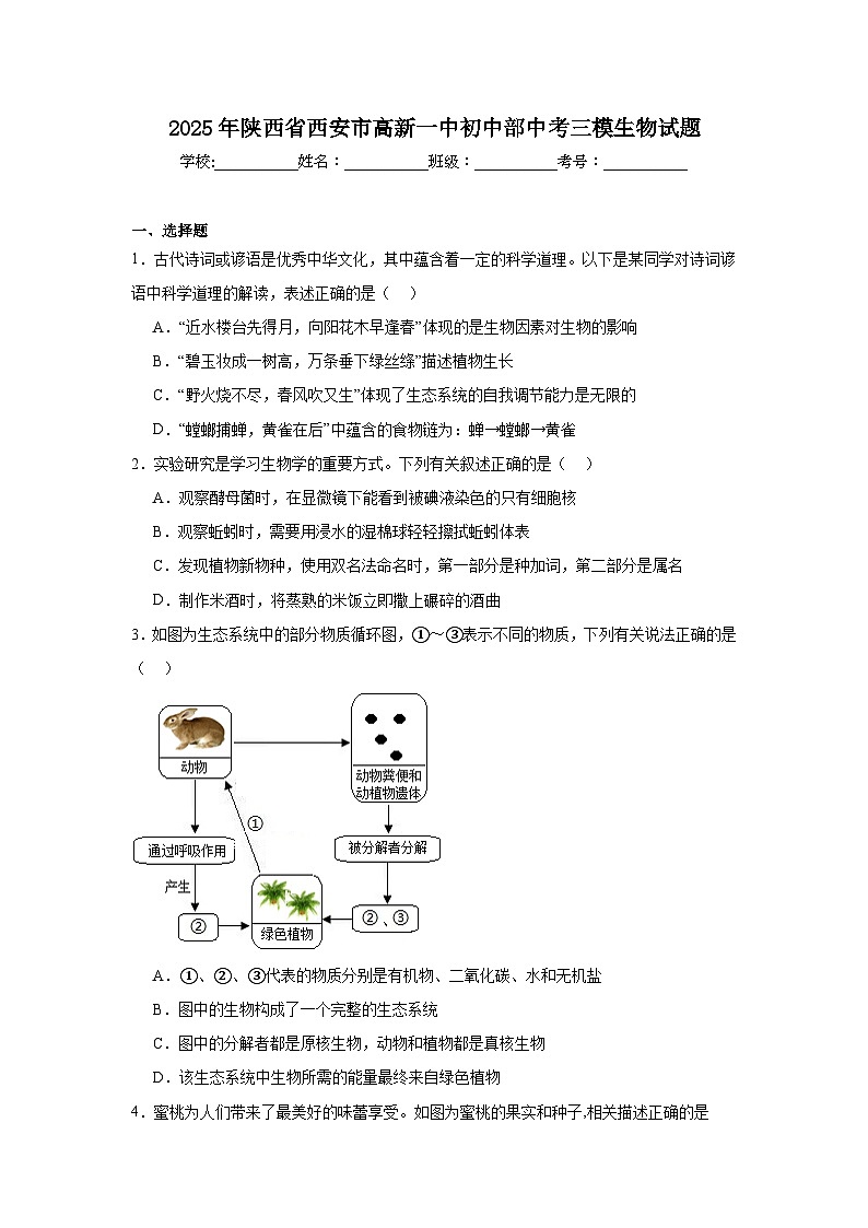 2025年陕西省西安市高新一中初中部中考三模生物试题(附答案解析)第1页