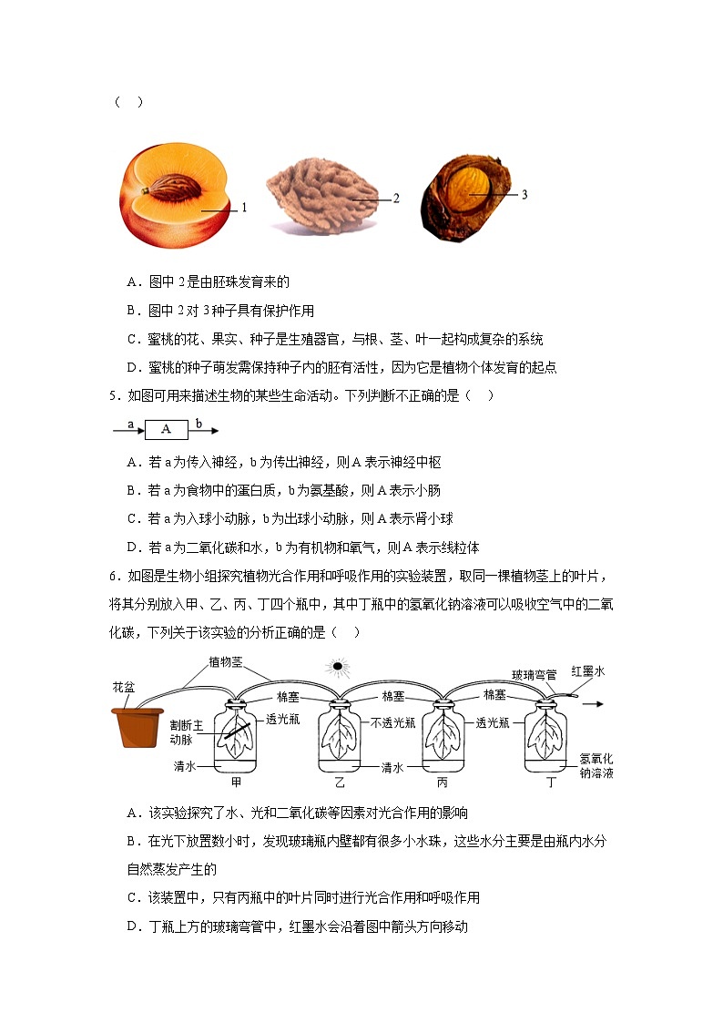 2025年陕西省西安市高新一中初中部中考三模生物试题(附答案解析)第2页