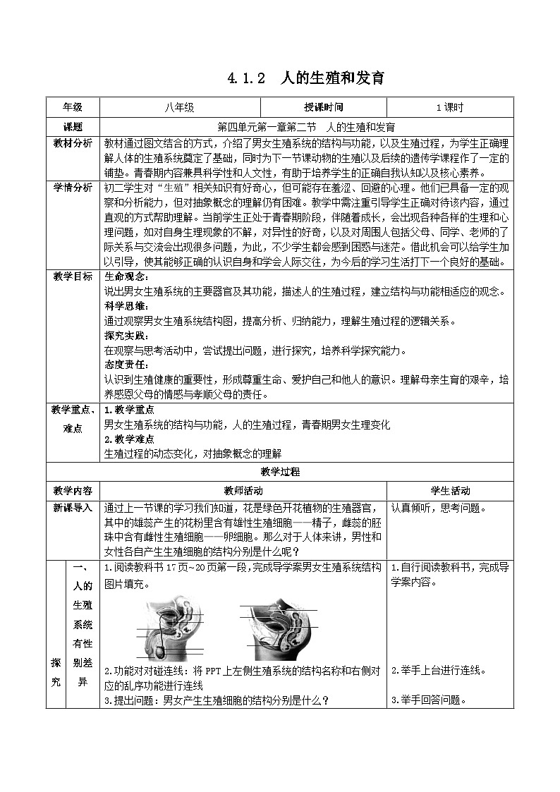北京版生物八年级上册 4.1.2 人的生殖和发育 同步教案第1页