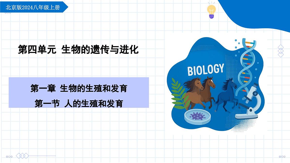 北京版生物八年级上册 4.1.2 人的生殖和发育 教学课件第1页