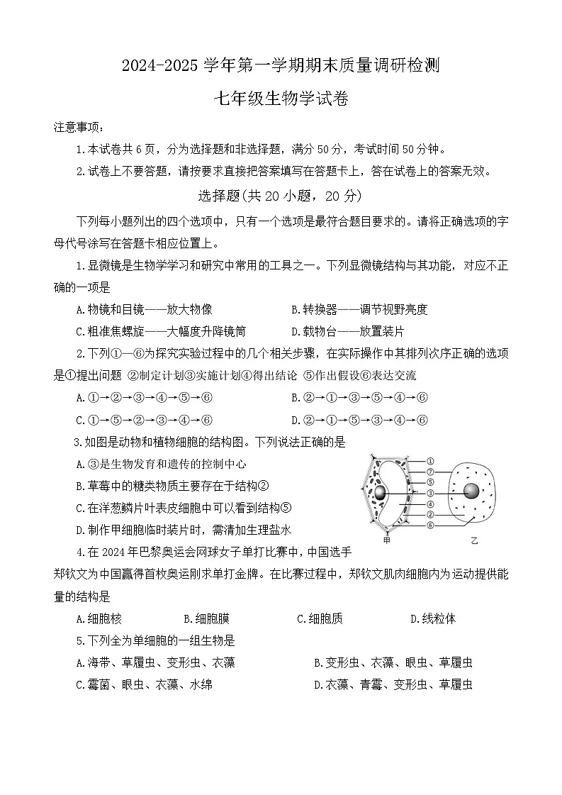 河南省洛阳市伊川县2024-2025学年上学期期末七年级生物试题第1页