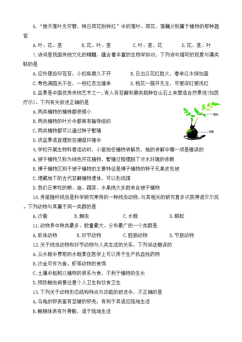河南省洛阳市伊川县2024-2025学年上学期期末七年级生物试题第2页