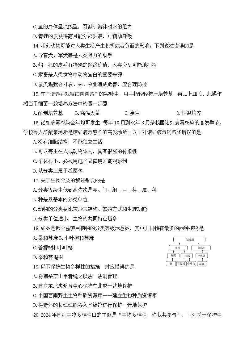 河南省洛阳市伊川县2024-2025学年上学期期末七年级生物试题第3页