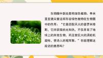 生物八年级上册（2024）第五单元 植物的生活第三章 植物与生物圈的碳氧平衡第三节 植物在生物圈碳氧平衡中的作用优秀课件ppt