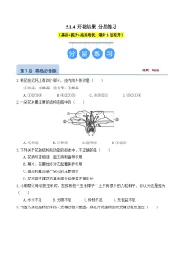 生物八年级上册（2024）第四节 开花结果精品复习练习题
