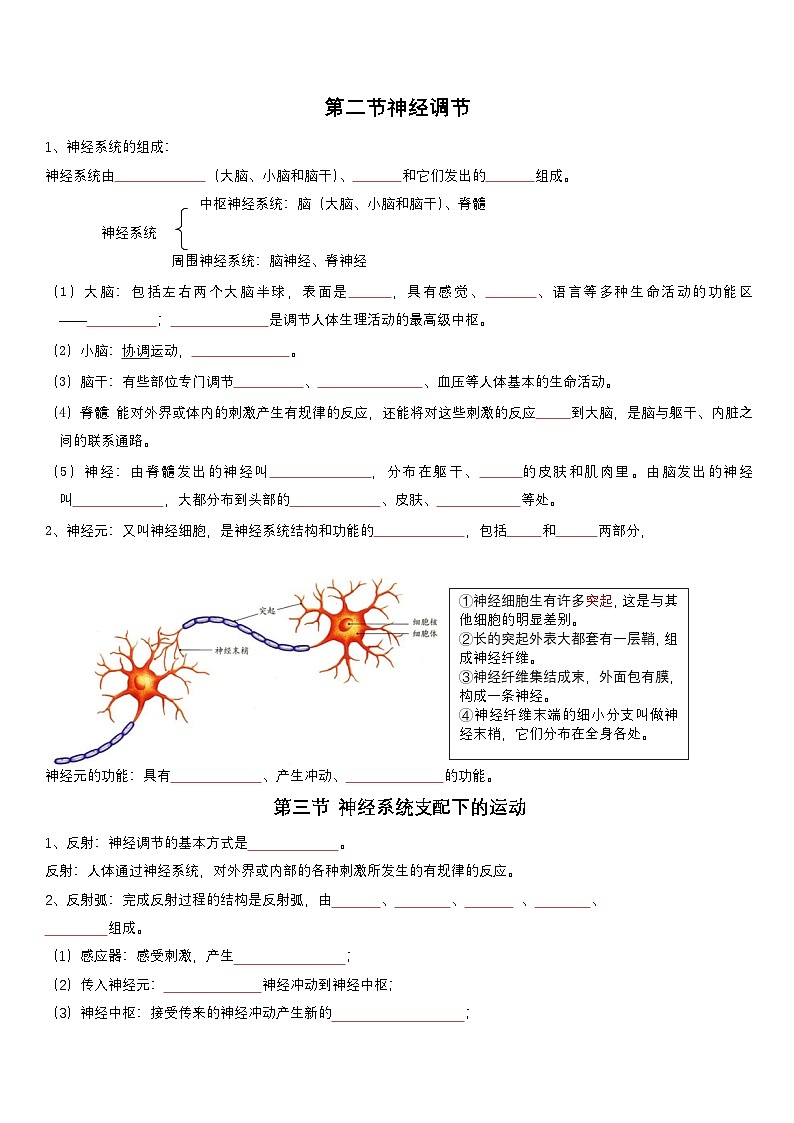 人教版(2024)八年级上册生物期末复习必考知识点提纲填空练习版(含答案)第3页