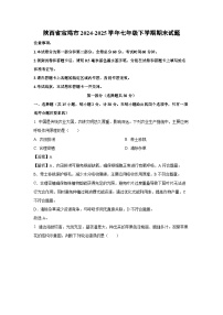 陕西省宝鸡市2024-2025学年七年级下学期期末生物试题（解析版）