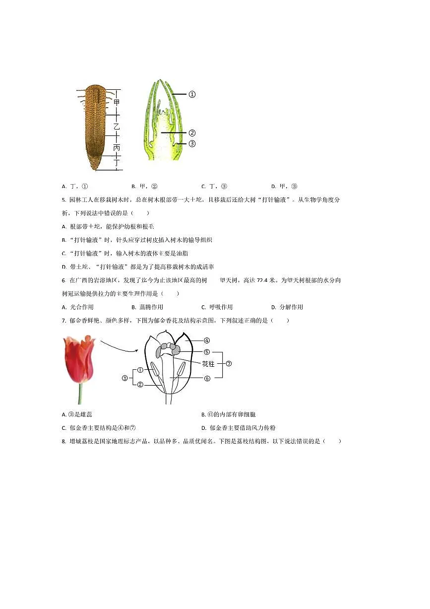 2024~2025学年广东省广州市增城区七年级下6月期末考试生物试卷(含答案)第2页
