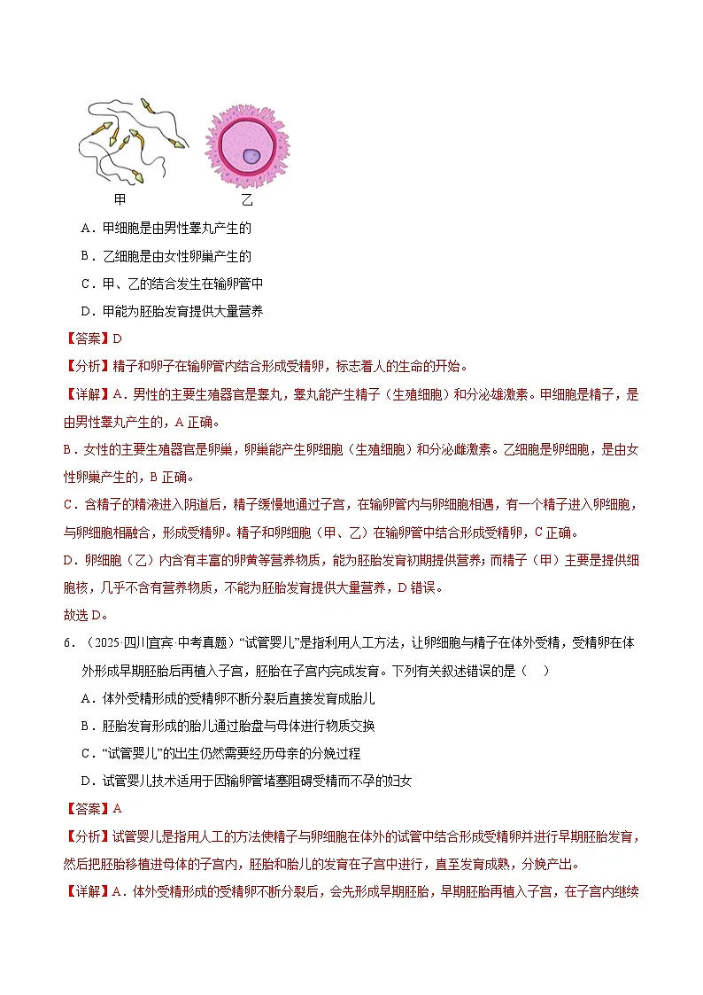 专题11 生物的生殖和发育(全国通用)(解析版)【好题汇编】三年(2023-2025)中考生物真题分类汇编(全国通用)第3页