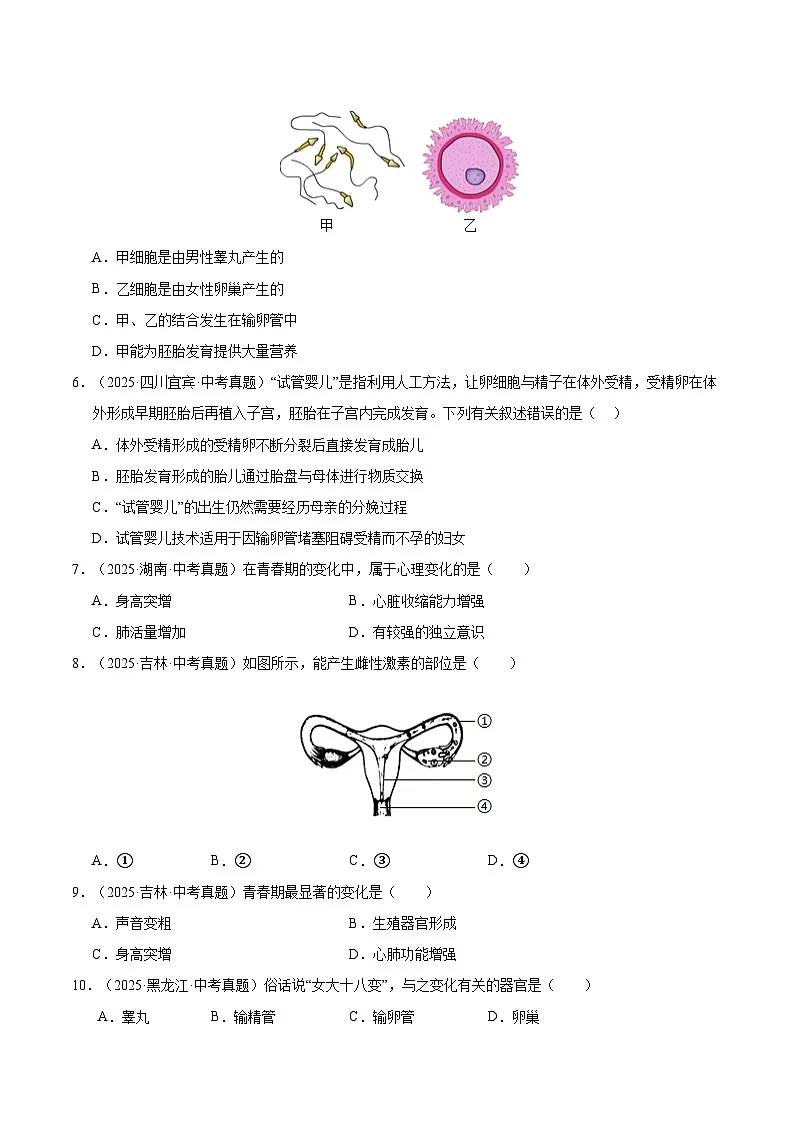 专题11 生物的生殖和发育(全国通用)(原卷版)【好题汇编】三年(2023-2025)中考生物真题分类汇编(全国通用)第2页