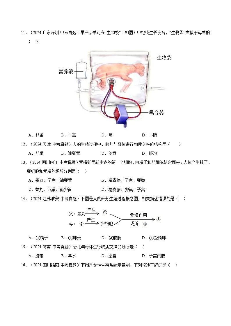 专题11 生物的生殖和发育(全国通用)(原卷版)【好题汇编】三年(2023-2025)中考生物真题分类汇编(全国通用)第3页