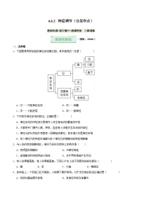 初中生物人教版（2024）八年级上册（2024）第二节 神经调节精品课时练习