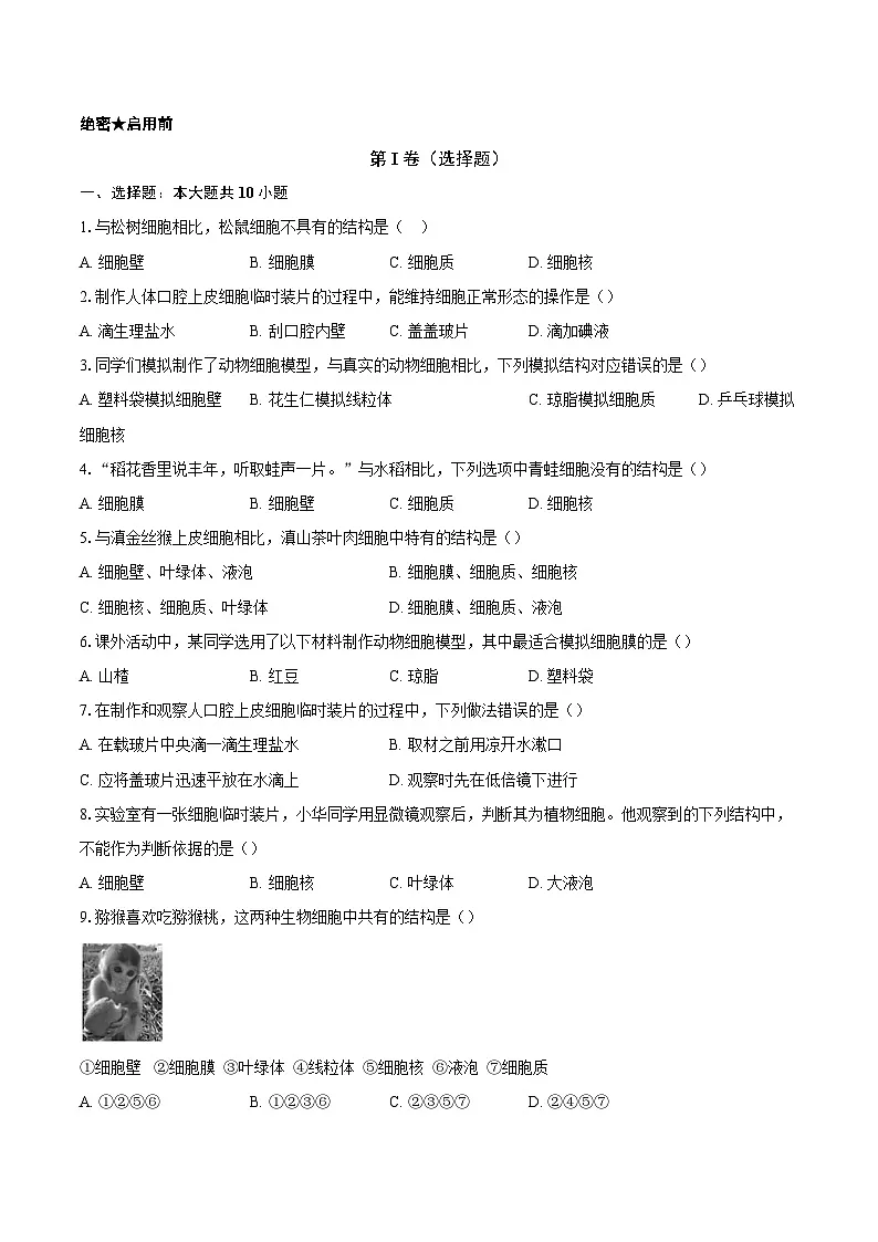 第一单元2.3 动物细胞 同步练习(含解析)人教版(2024)初中生物学七年级上册第1页