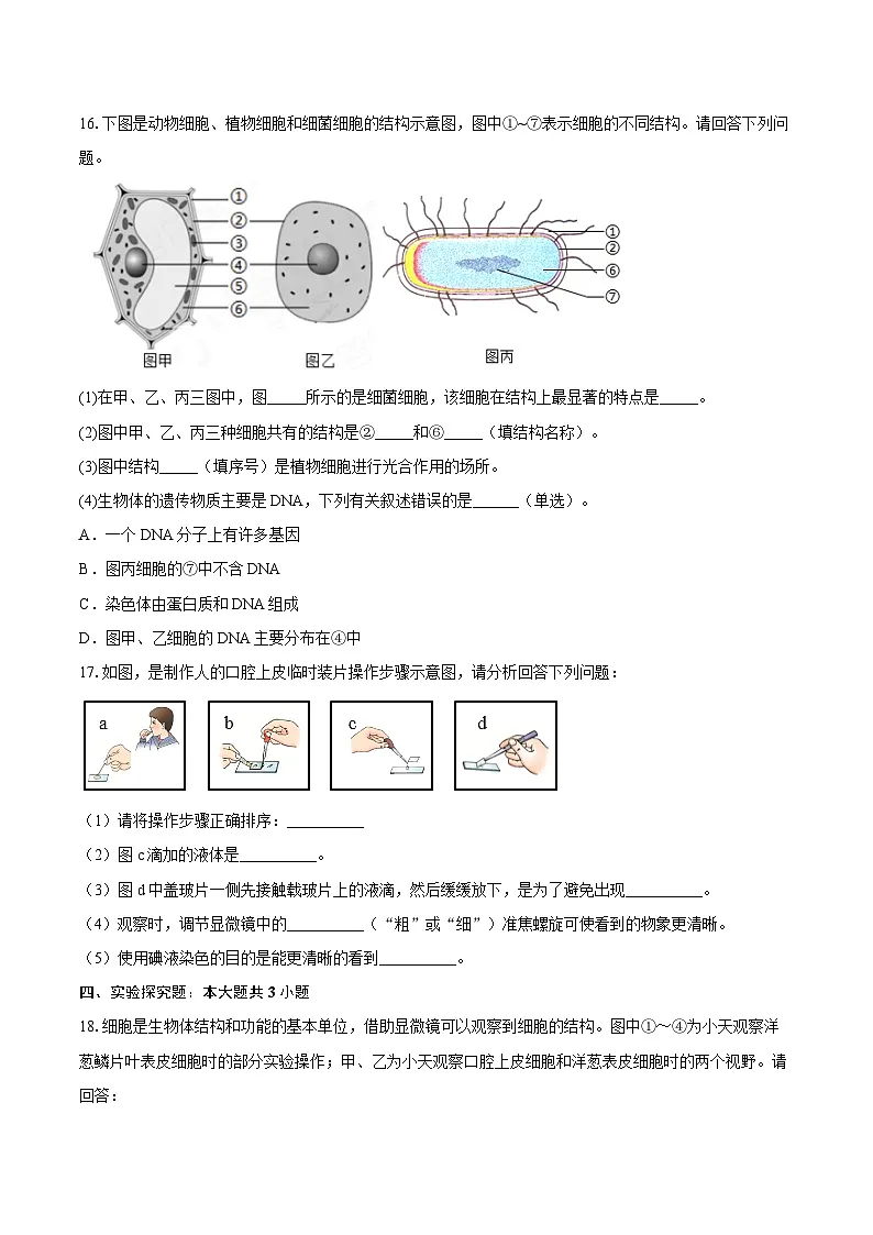 第一单元2.3 动物细胞 同步练习(含解析)人教版(2024)初中生物学七年级上册第3页