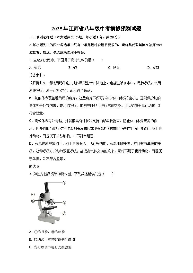2025年江西省八年级中考模拟预测试题生物试卷(解析版)第1页