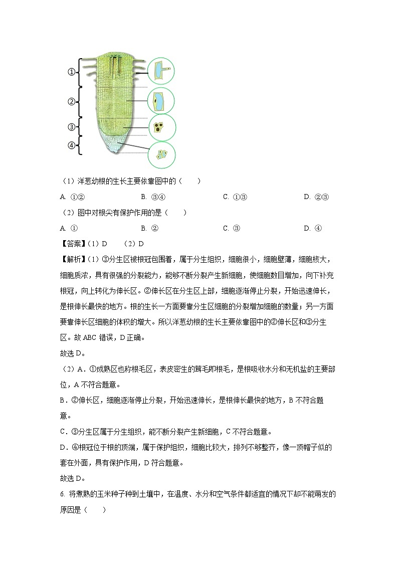 福建省厦门市翔安区2024-2025学年七年级下学期期末生物试题(解析版)第3页