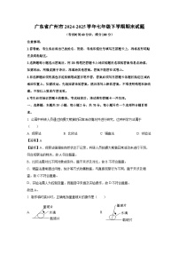 广东省广州市2024-2025学年七年级下学期期末生物试题（解析版）