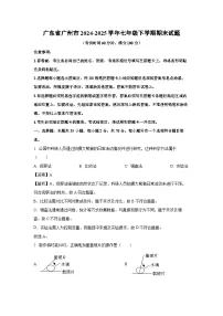 广东省广州市2024-2025学年七年级下学期期末生物试题（解析版）