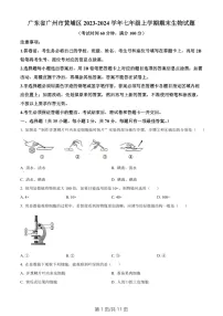 广东省广州市黄埔区2023-2024学年七年级上学期期末生物试题(含答案)