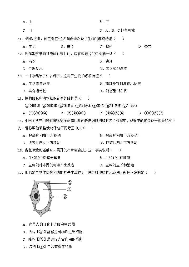 2025-2026人教版七年级上册1.1、1.2 认识生物、认识细胞单元卷(有答案)第2页