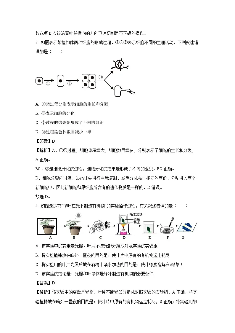 2025年河南省周口市淮阳区三校联考九年级中考三模生物试题(解析版)第2页