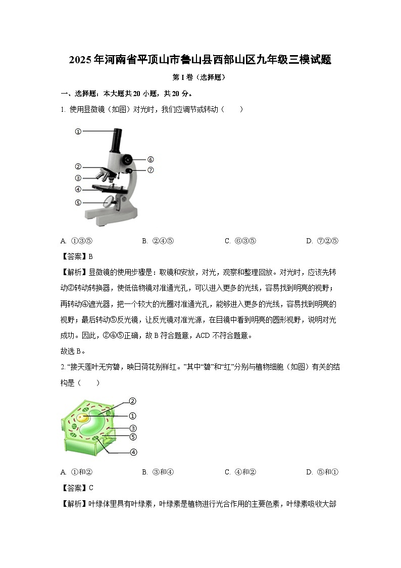 2025年河南省平顶山市鲁山县西部山区九年级三模生物试题(解析版)第1页