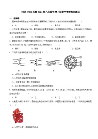 2025-2026苏教2024版八年级生物上册期中考前基础练习（有答案）