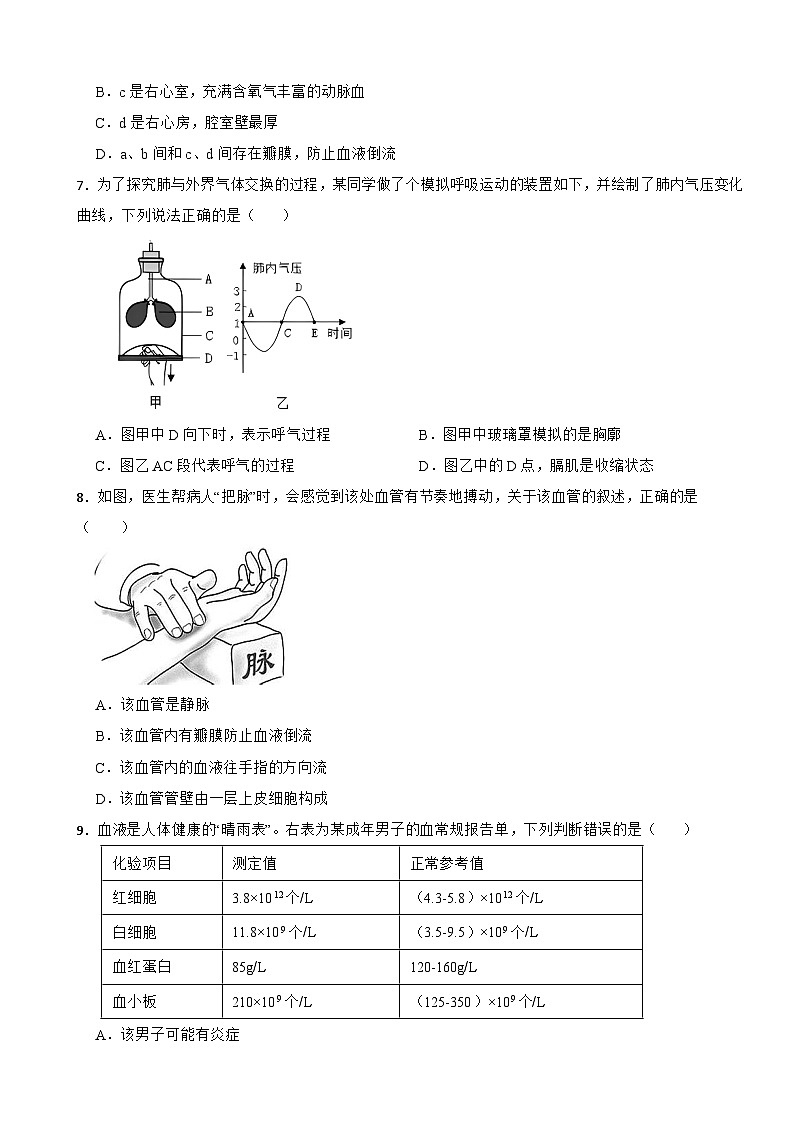 2025-2026苏教2024版八年级生物上册期中考前基础练习(有答案)第2页