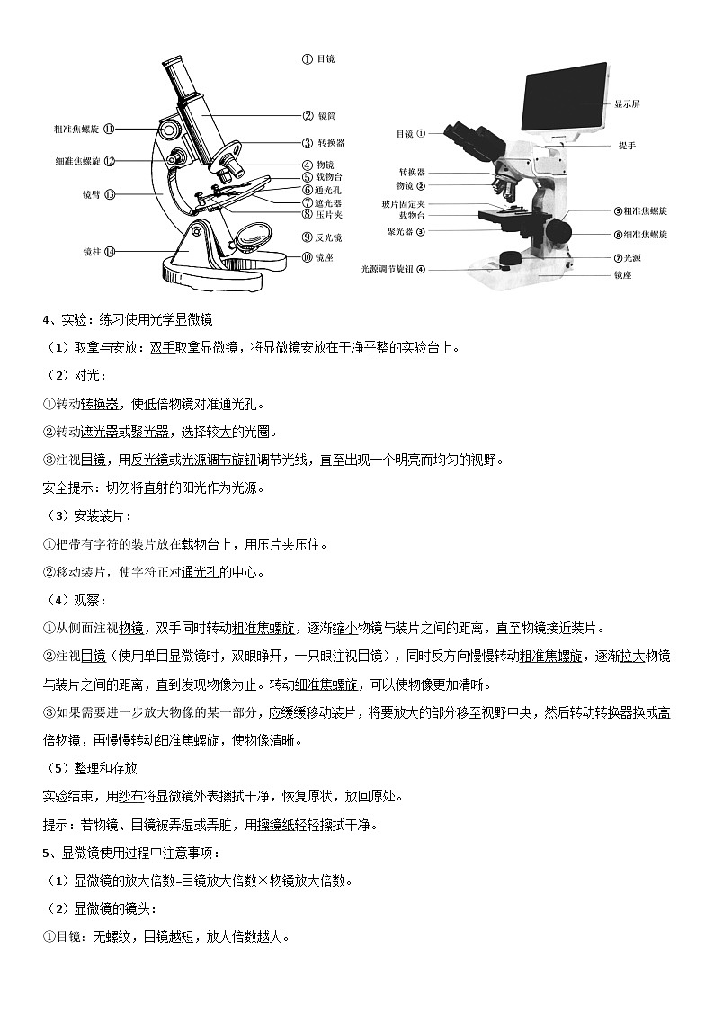 济南版(2024)七年级上册生物期末复习知识点背诵提纲 学案第3页
