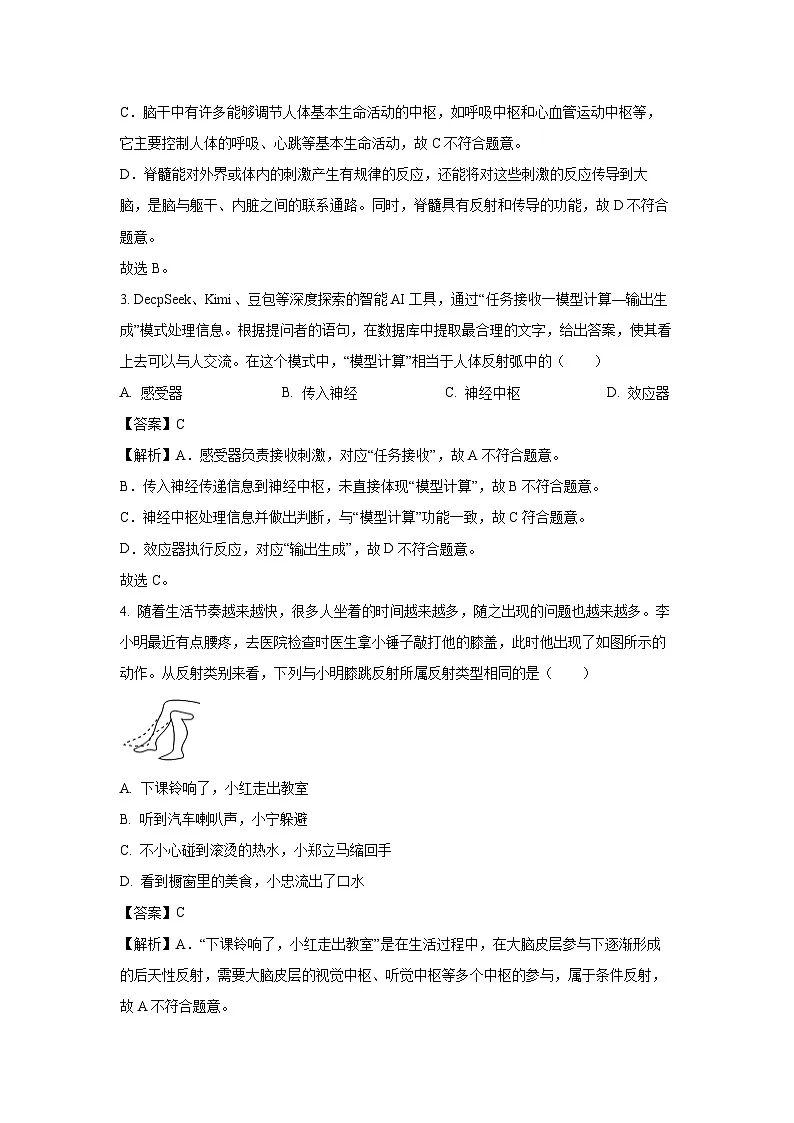 山东省济宁市任城区2024-2025学年七年级下学期期末生物试卷(解析版)第2页