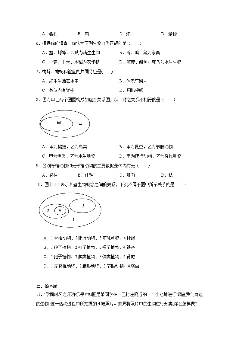 2.4.1尝试对生物进行分类练习题(含答案)2025-2026学年人教版七年级上册生物学第2页