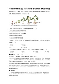 广东省深圳市南山区2024-2025学年七年级下学期期末生物试题（解析版）