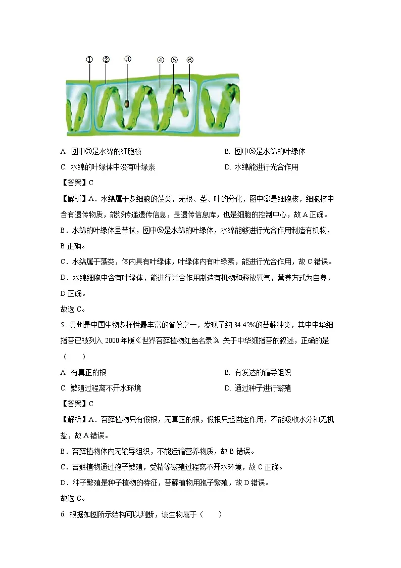贵州省毕节市大方县2024-2025学年七年级下学期期末生物试题(解析版)第3页
