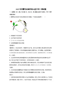 2025年内蒙古赤峰市松山区中考一模生物试题（解析版）