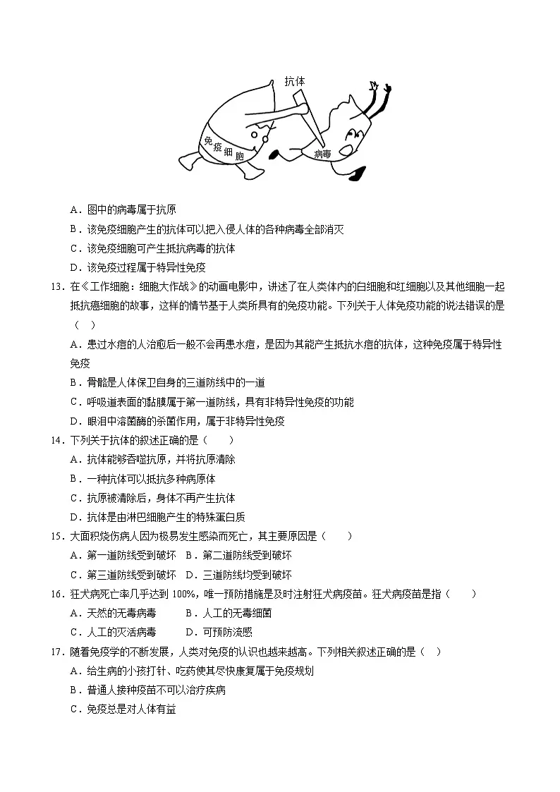 八年级生物第一次月考卷【测试范围:冀少版2024第一单元第一章】(考试版)第3页