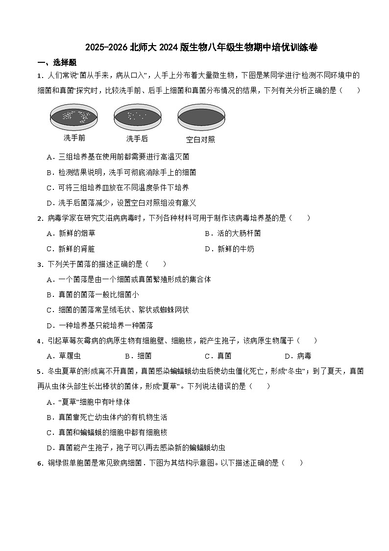 2025-2026北师大2024版生物八年级生物期中培优训练卷(有答案)第1页