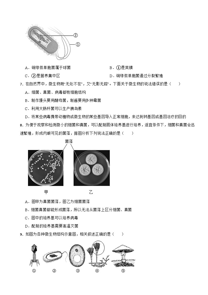 2025-2026北师大2024版生物八年级生物期中培优训练卷(有答案)第2页