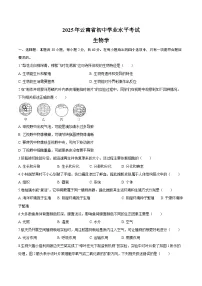 2025年云南省中考生物试卷（含解析）