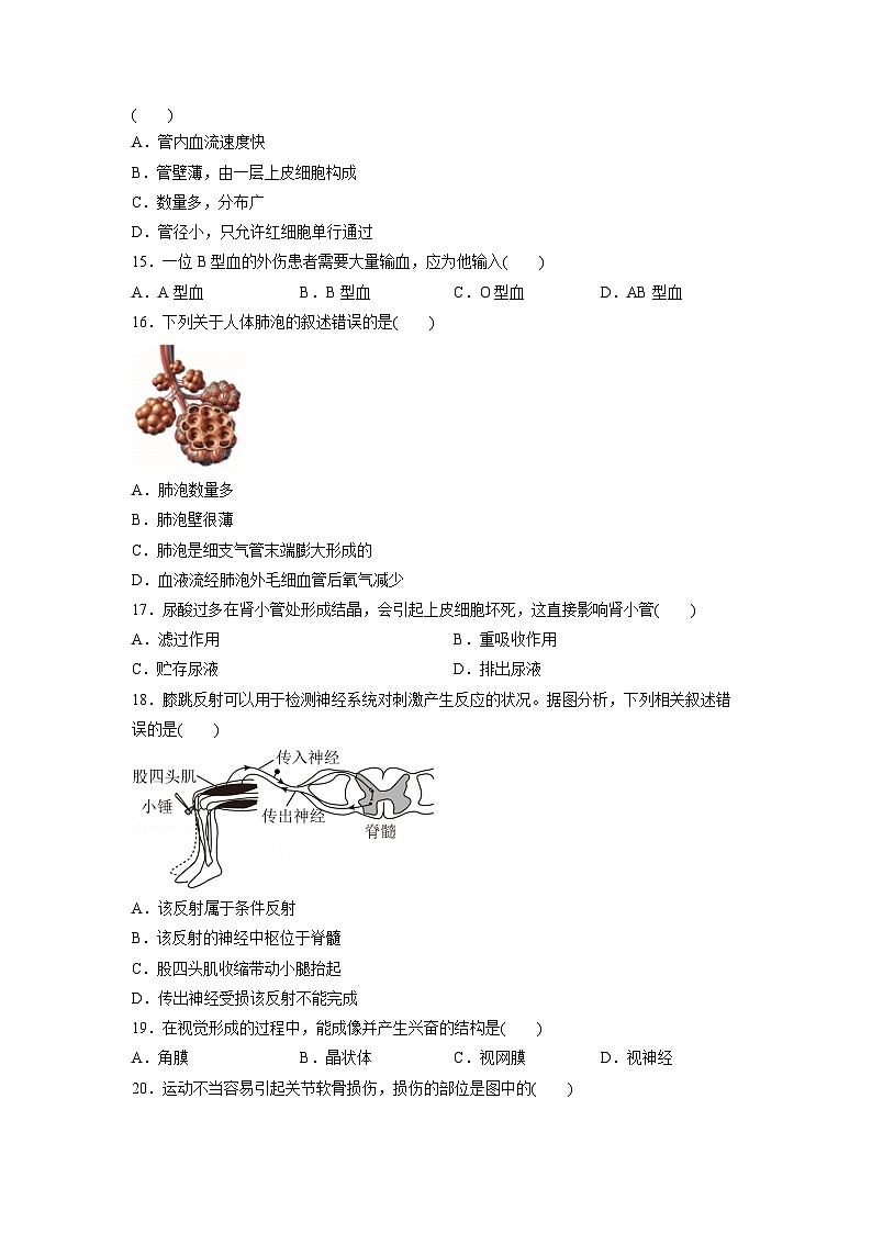 2025年北京市石景山区中考生物试卷(学生版)第3页