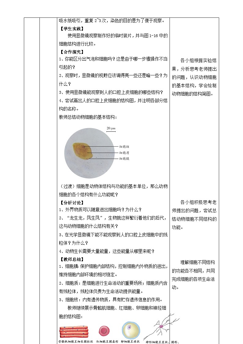1.1.2 动物细胞的结构与功能(教学设计)生物苏教版2024七年级上册-A4第3页