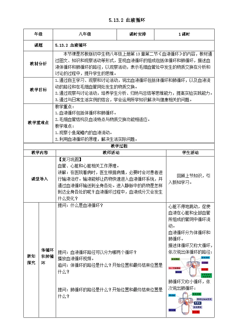 5.13.2 血液循环(教学设计)生物苏教版2024八年级上册-A4第1页