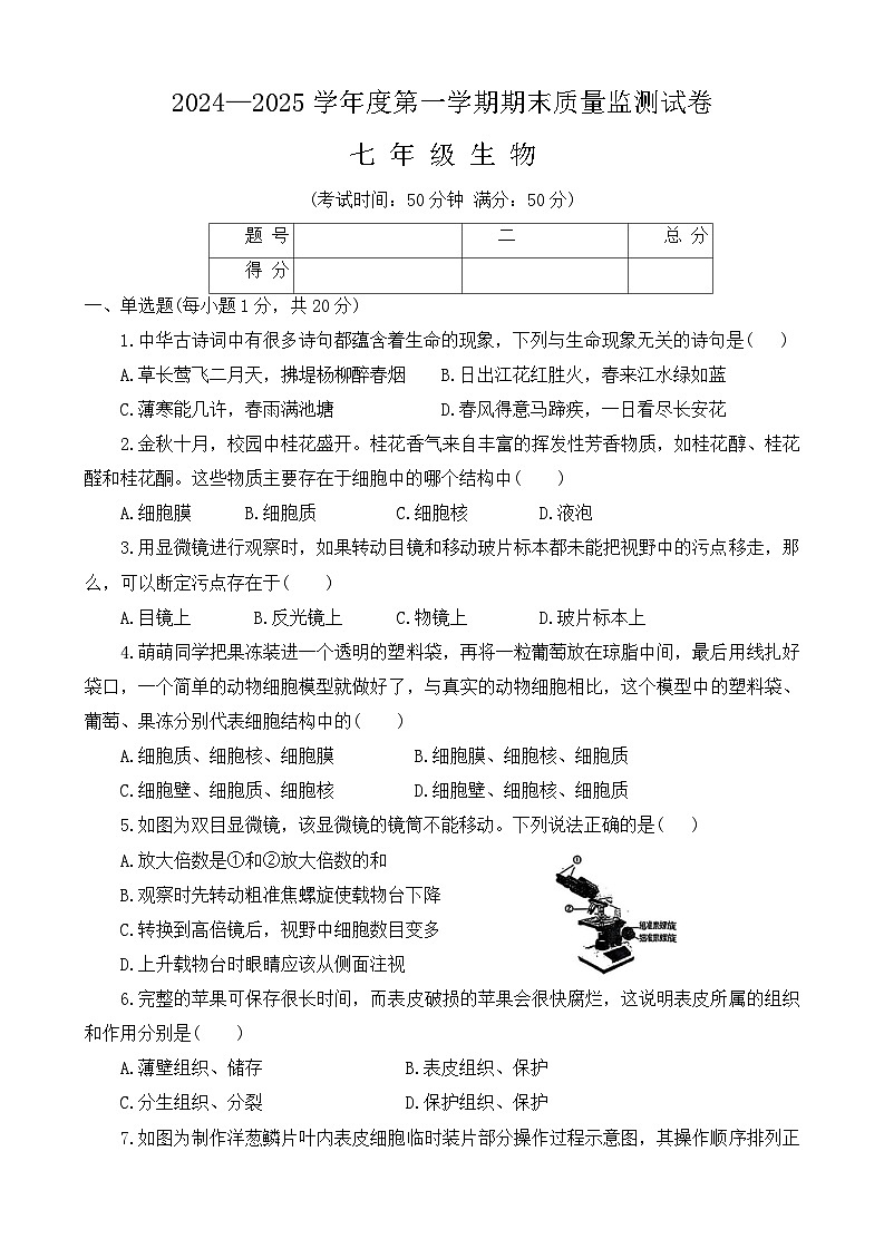 河南省驻马店市正阳县2024-2025学年七年级上学期1月期末生物试题第1页