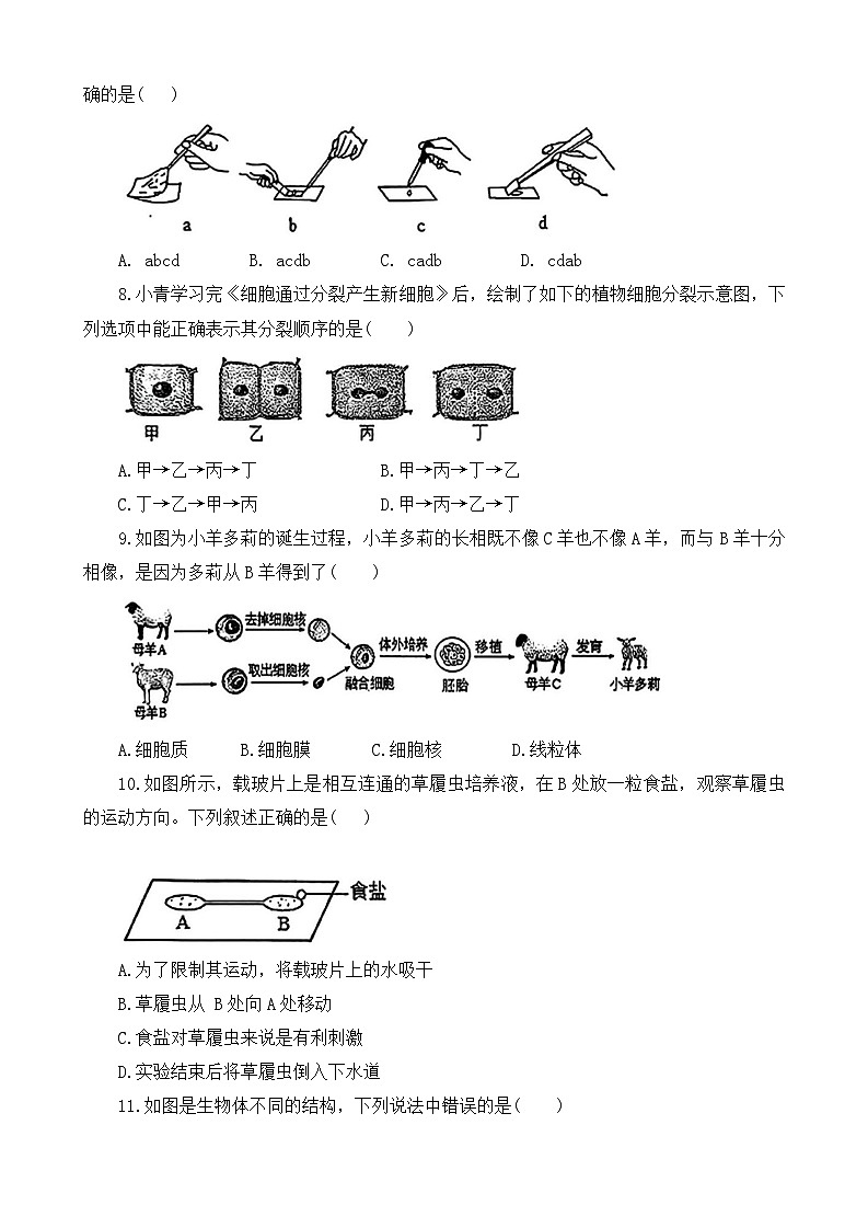 河南省驻马店市正阳县2024-2025学年七年级上学期1月期末生物试题第2页