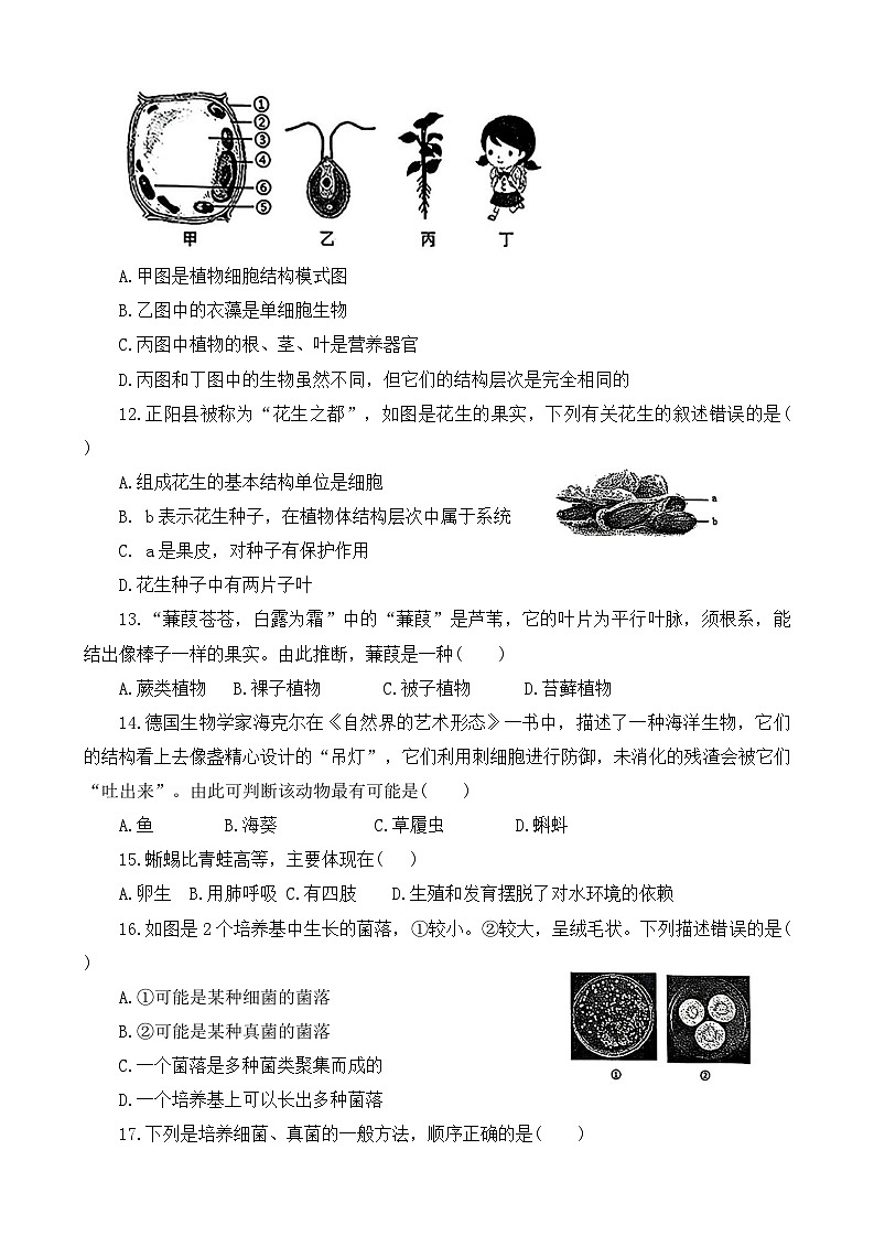河南省驻马店市正阳县2024-2025学年七年级上学期1月期末生物试题第3页