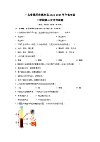 广东省揭阳市惠来县2024-2025学年七年级下学期第二次月考生物试卷（学生版）