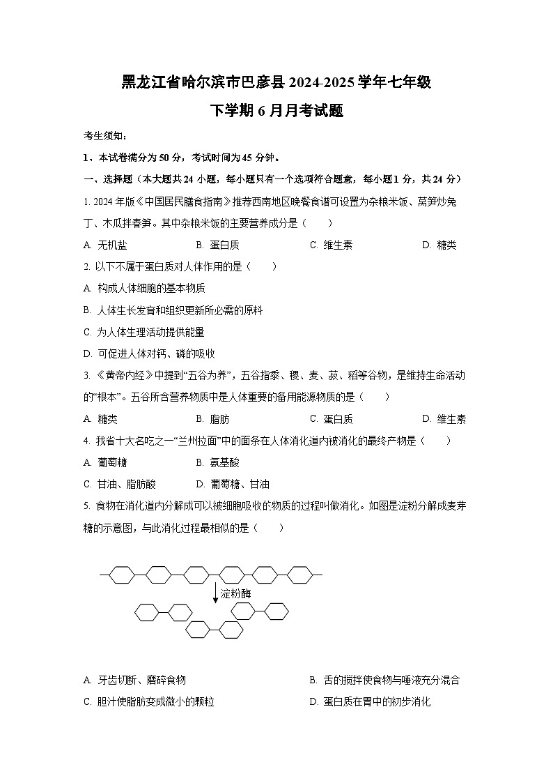 黑龙江省哈尔滨市巴彦县2024-2025学年七年级下学期6月月考生物试卷(学生版)第1页